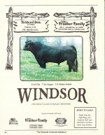 Windsor 2.jpg