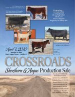 Crossroads Sale flyer.jpg