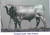 Deerpark Leader 13th.jpg