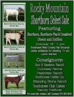 Calf auction flyer.jpg