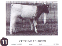 CF_Trump_sale1993.png