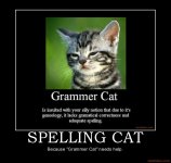spelling-cat-spelling-cat-grammar-demotivational-poster-1215799181.jpg