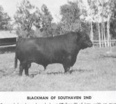 blackmanofsouthaven2nd.jpg