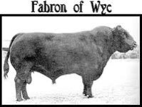 Fabron of Wye.jpg