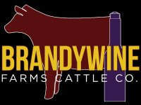 Brandywine Logo - black.jpg