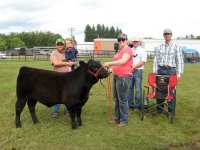 Reserve Champion Bull   NYK Cattle Co..jpg