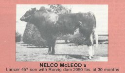 NELCO McLEOD.jpg