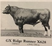 GX Ridge Runner.jpg