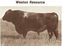 Weston Resource 1.jpg