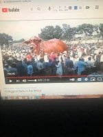 giant bull india IMG_9977.jpg