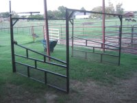Benches and bull 012.JPG