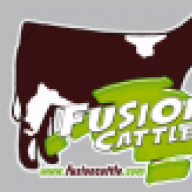 Fusion Cattle