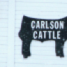 Carlson Cattle