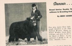 1947 Shorthorn Show.jpg