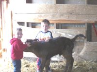 Gavin, Grady in the Barn.jpg