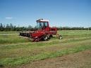 cutting hay.jpg