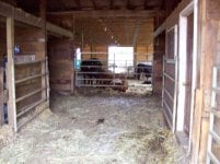 center isle - old barn - chute to left, office to right.jpg