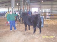 nm beef expo.jpg