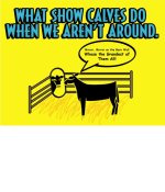 CATTLE WHAT CALVES2.JPG