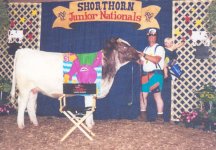 showmanship2.jpg