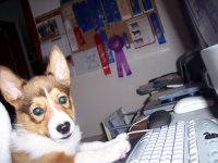 100_1691.jpg