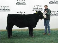Ft Worth Steer Show 022 (Small).jpg