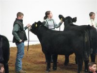 Ft Worth Steer Show 018 (Small).jpg