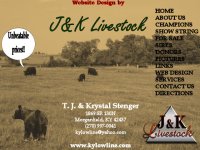 website page.jpg