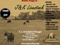 website page II.jpg