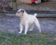 Re-exposure of Resize of jake 1.jpg