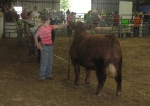 Cherry Bomb 2009 Steer 3rd Overall.JPG