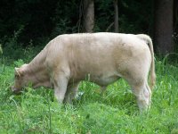 772009 061small.JPG