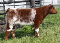 DV x Jiffy Steer 2.jpg