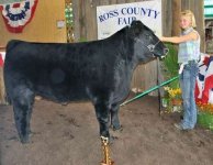 2009groomandshowchamp.jpg