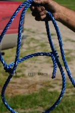 IMG_4192---FRED RANCH--.psd.jpg
