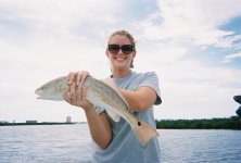 jd fish 2.jpg