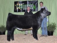reserve ISF 2009.jpg
