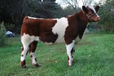 DSC_2735_017[1].jpg