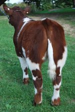 DSC_2743_009[2].jpg