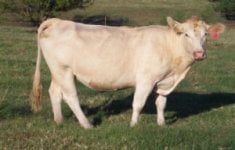 milkmanmother.jpg