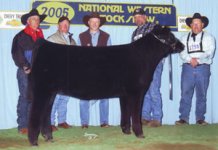 2004 heifer countess 457P - res champ div II denver.jpg