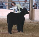 Juneau Steer 05.jpg