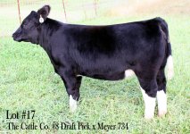 Lot #17 Draft Pick x Meyer 734.JPG