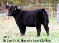 Lot #16 Monopoly x Popper.JPG