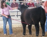 State Fair.jpg