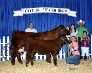 Duchess Cow Calf Pair State Show.jpg