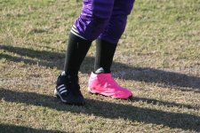IMG_7778 (Small).JPG
