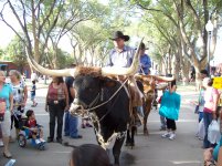 State Fair 2008 009.jpg