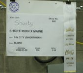 Shorty Stall card.JPG