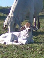 image001-4.jpg